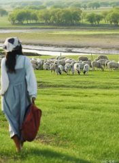 506431295_642855515459588_6665297978194328228_n