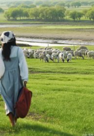 506431295_642855515459588_6665297978194328228_n