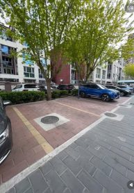 525014827_122216049836259604_3393605512476219258_n