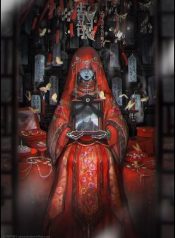 527373786_684920084586464_3788024681389594812_n-2