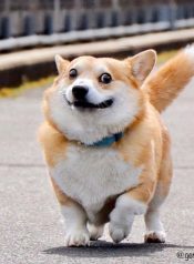 ab94b52be1a966989f85e15b28e49b98