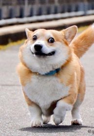 ab94b52be1a966989f85e15b28e49b98