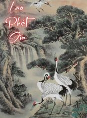 lao-phat-gia-2-4-1-4