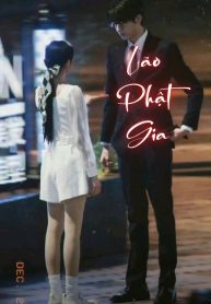 lao-phat-gia-4-2-3-11