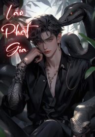 lao-phat-gia-7-5-1-3