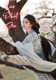 lao-phat-gia-8-2-2-5