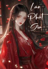 lao-phat-gia-8-6-1-1