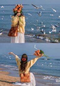 2508b096a22460febaf2e3db1e4e6e62