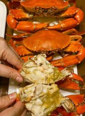 9c690b7a8929b09019704624750855a3