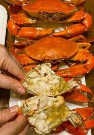 9c690b7a8929b09019704624750855a3