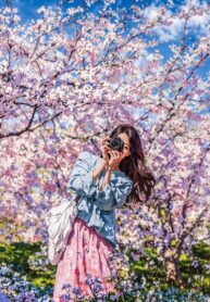 ba427bdd1776b0576655259529e39e69