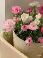 bc3b4ng20he1bb93ng20tuye1babft20say20truye1bb87n202025-14-1-7