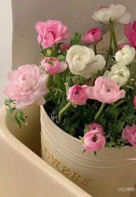 bc3b4ng20he1bb93ng20tuye1babft20say20truye1bb87n202025-14-1-7