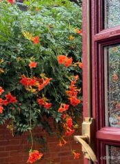 bc3b4ng20he1bb93ng20tuye1babft20say20truye1bb87n202025-21-3-6