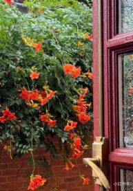 bc3b4ng20he1bb93ng20tuye1babft20say20truye1bb87n202025-21-3-6