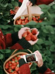 dcbca26c38291dca159d88317aab3a1c