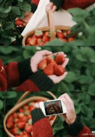 dcbca26c38291dca159d88317aab3a1c