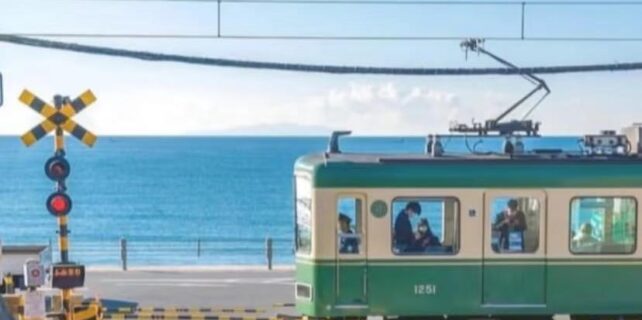 576372409_830937336206104_1567022932933023517_n