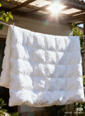 576893669_122240701574131098_6152617893967966109_n