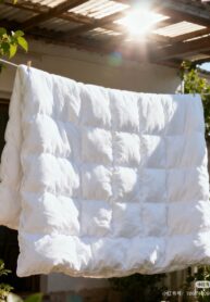 576893669_122240701574131098_6152617893967966109_n