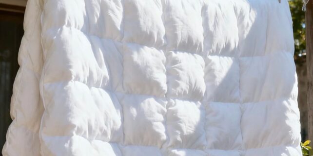 576893669_122240701574131098_6152617893967966109_n