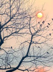 577454988_831916392774865_7751790684712011728_n