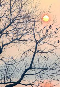 577454988_831916392774865_7751790684712011728_n