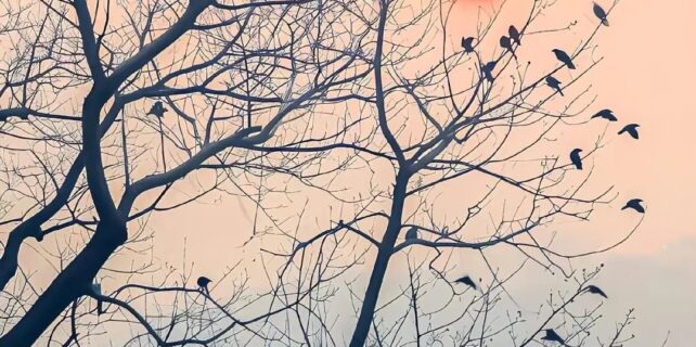 577454988_831916392774865_7751790684712011728_n