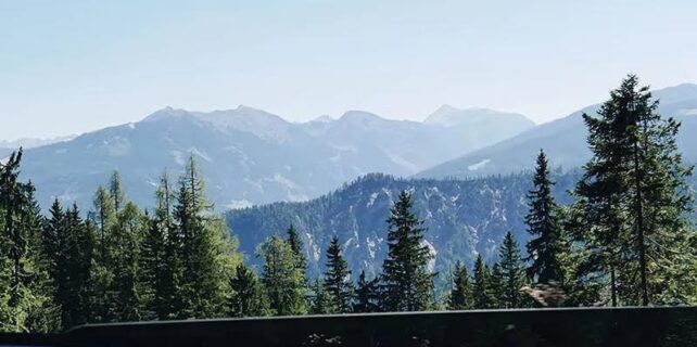 578753429_833573842609120_2264687442642629020_n