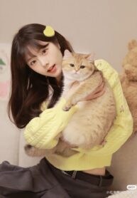 01e3e0199d259dfeebd7e30b0bae9d04-1